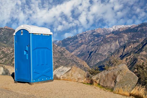 Best Portable Toilets with Baby Changing Stations  in Cana, VA